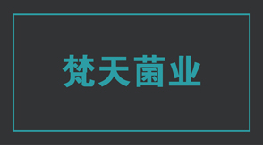 食品行业南京雨花台区工作服设计款式